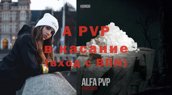 тгк Каменка