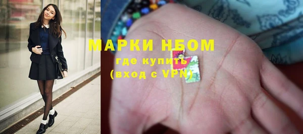 тгк Каменка