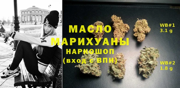 тгк Каменка