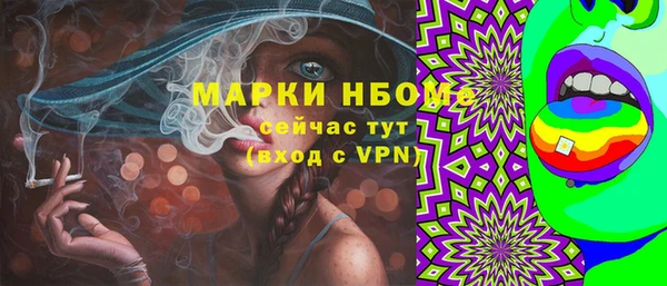 тгк Каменка