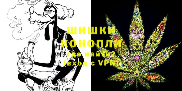 тгк Каменка