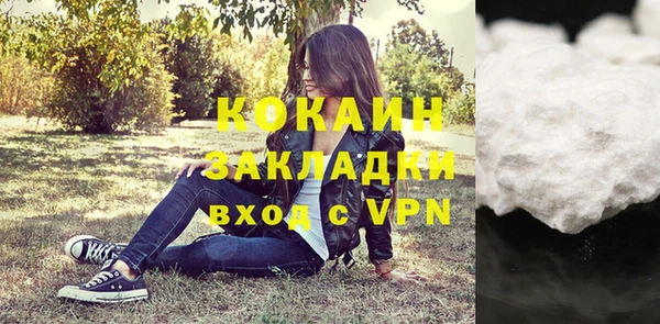 тгк Каменка